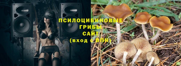 дмт Горно-Алтайск
