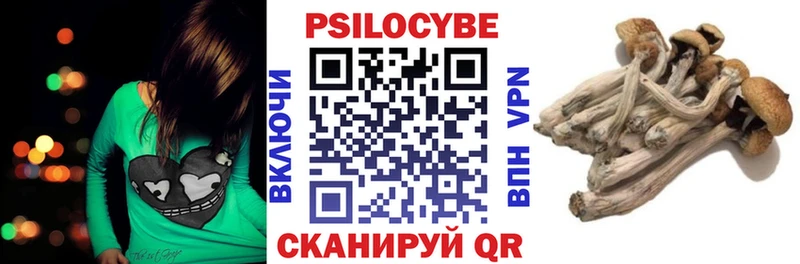 что такое   Инза  Псилоцибиновые грибы прущие грибы 
