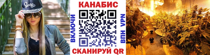 закладки Инза Шишки марихуана сатива